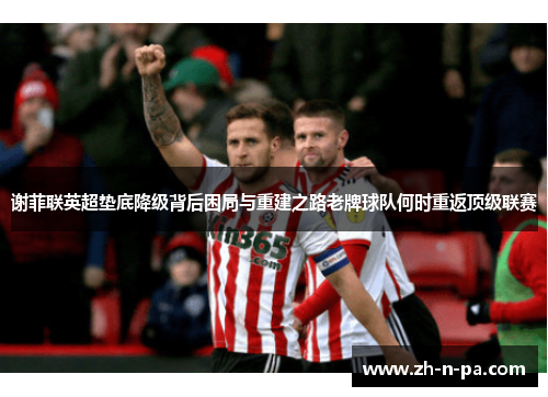 谢菲联英超垫底降级背后困局与重建之路老牌球队何时重返顶级联赛